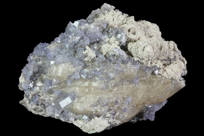 Purple/Gray Fluorite Cluster - Marblehead Quarry Ohio #81191